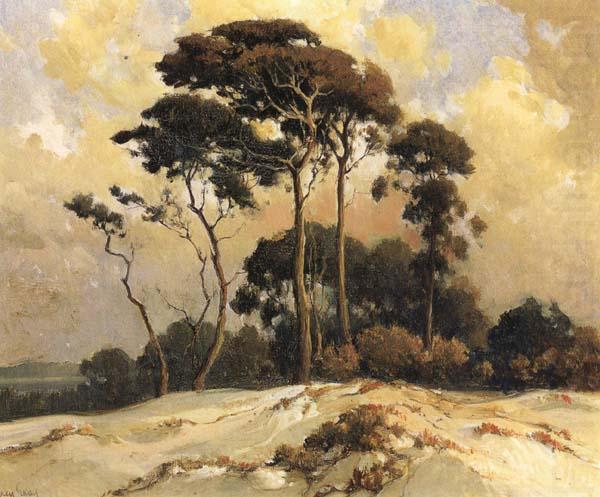 California landscape, unknow artist